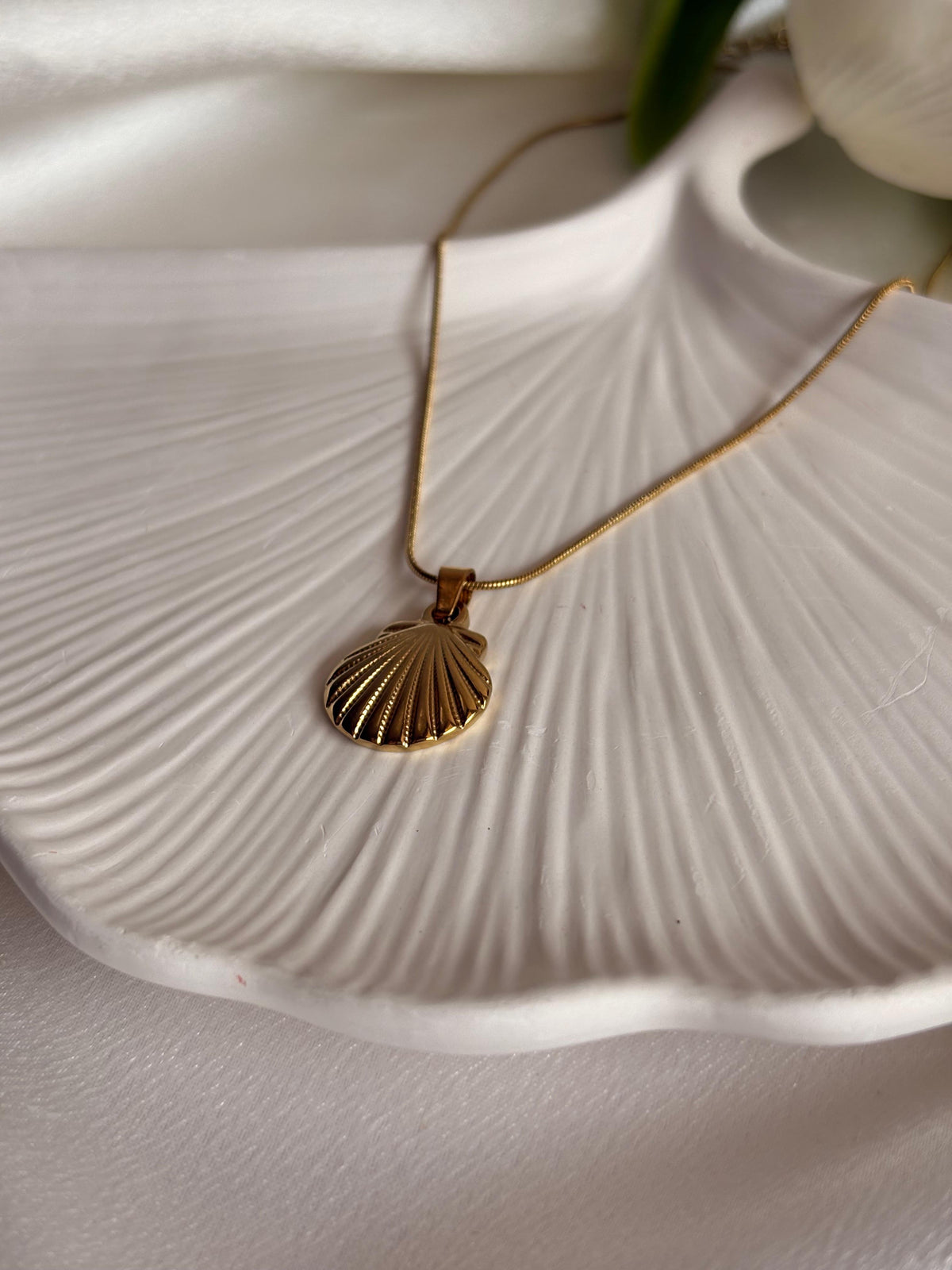 Ocean Shell Necklace