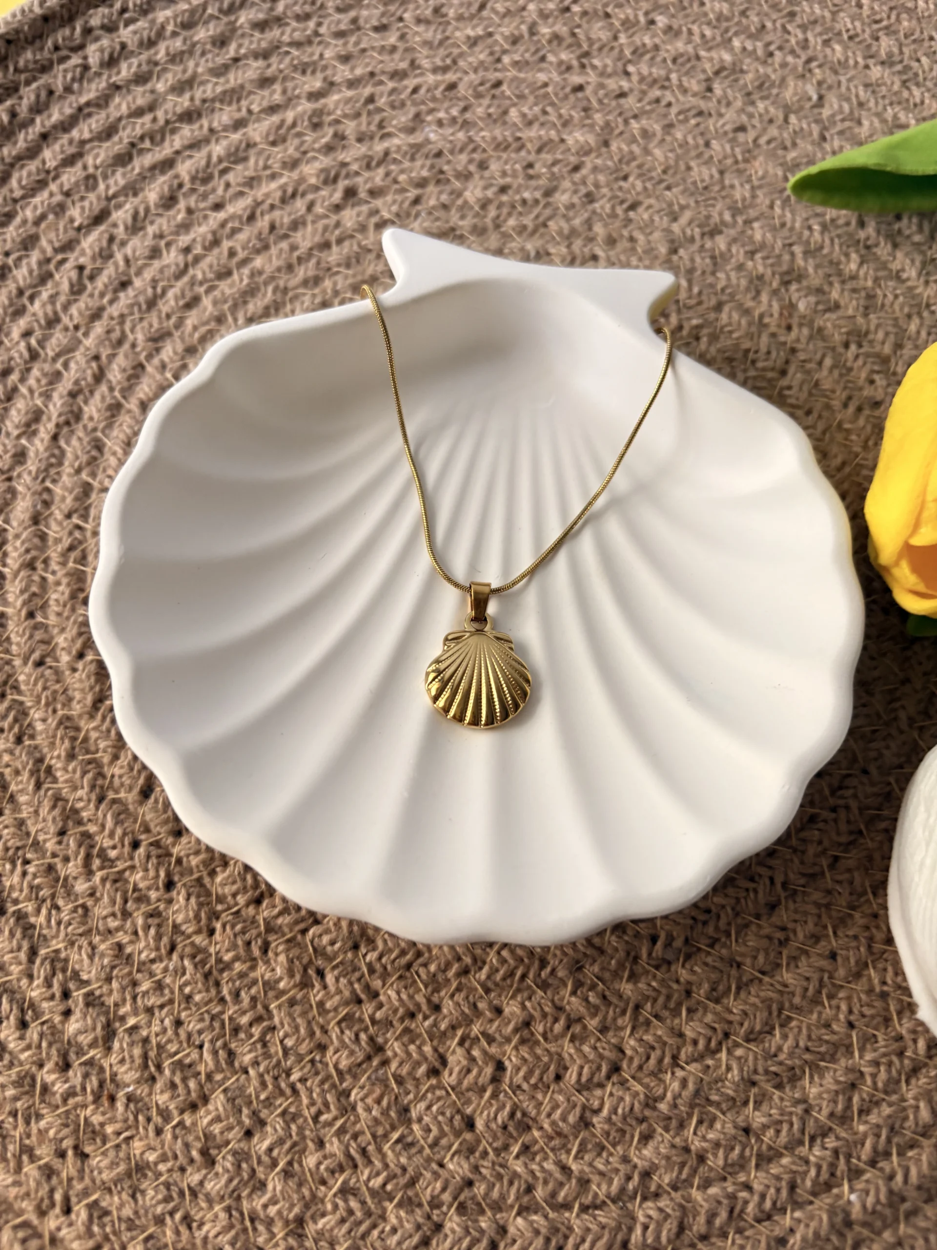 Ocean Shell Necklace